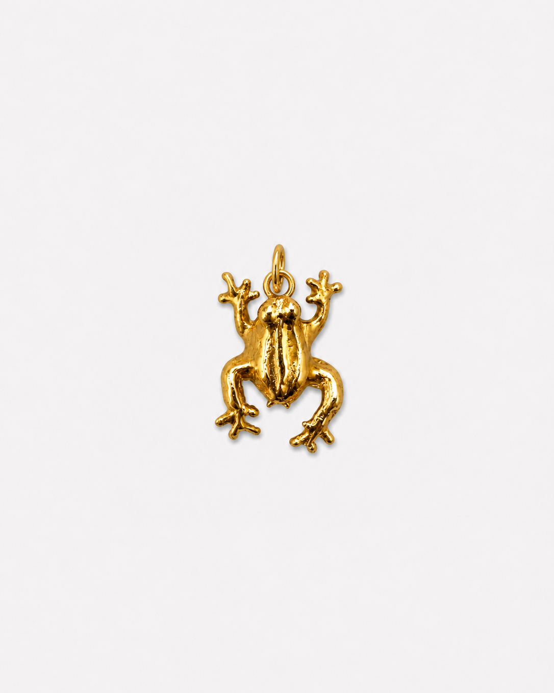 The Dancing Frog Charm