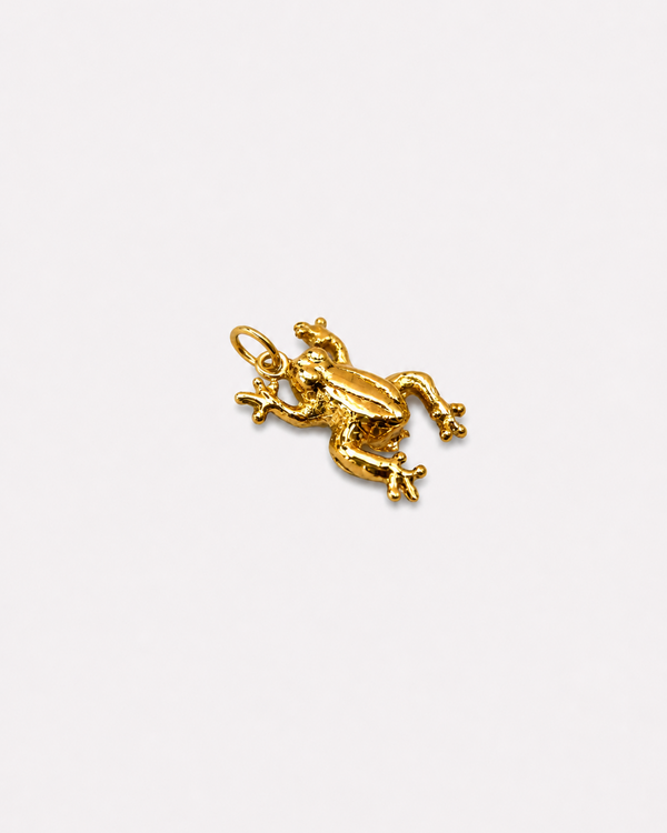 The Dancing Toad Charm